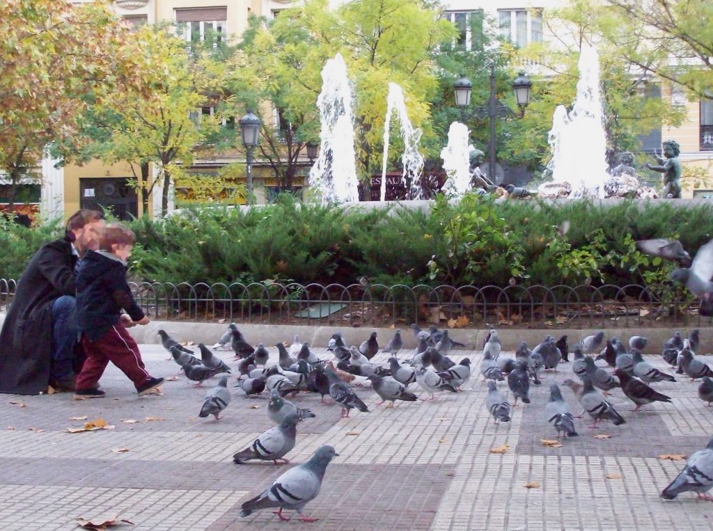 Plaza de Chamberi, Madrid